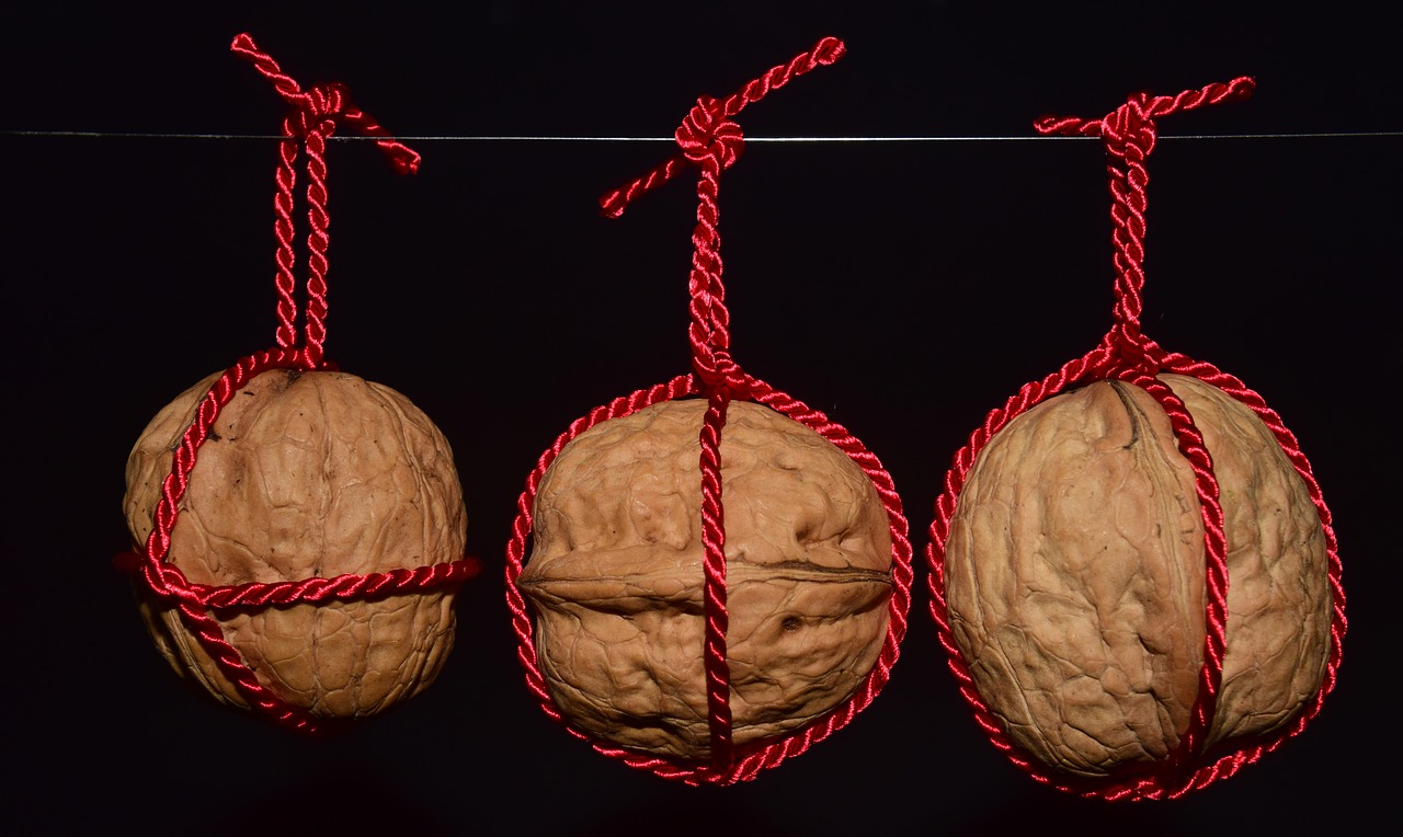 Noci appese a simboleggiare la prevenzione ai testicoli